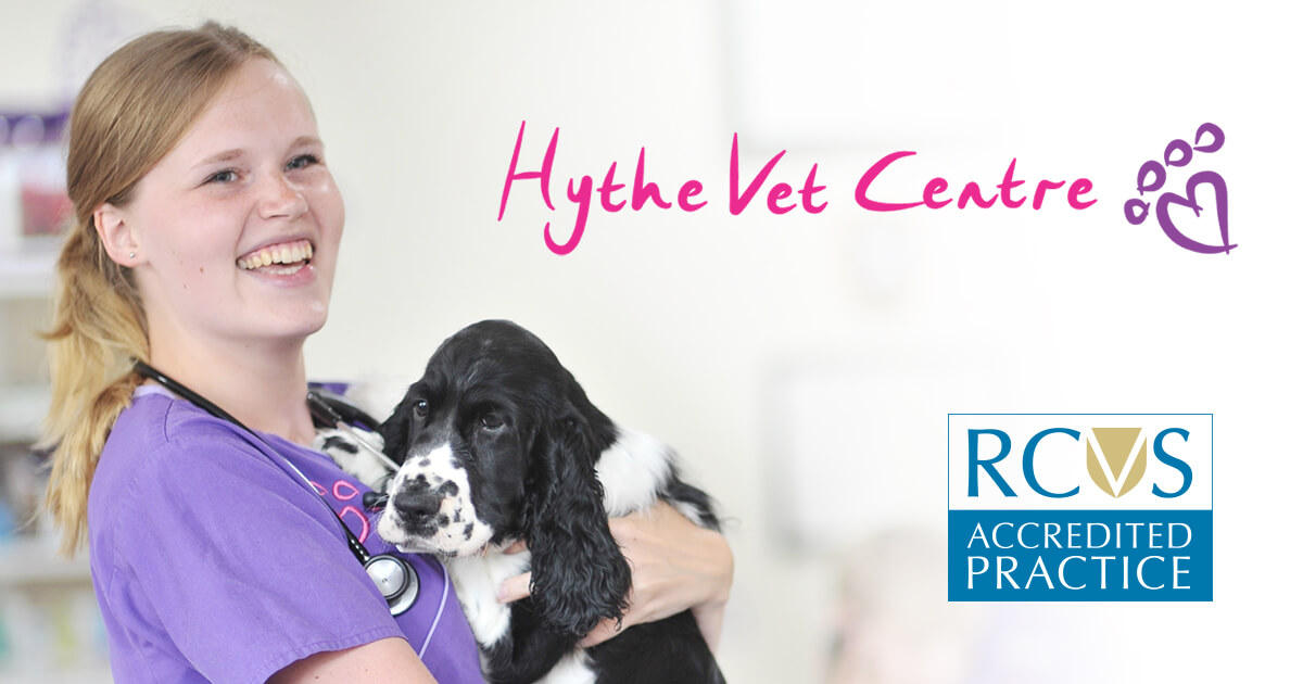 Hythe Healthcare Plan - Amazing benefits for your pet, low costs for you! Hythe Healthcare Plan - Amazing benefits for your pet, low costs for you!