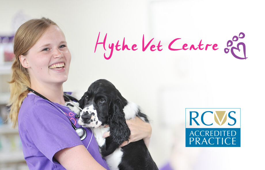 Vets for pets best sale mapperley