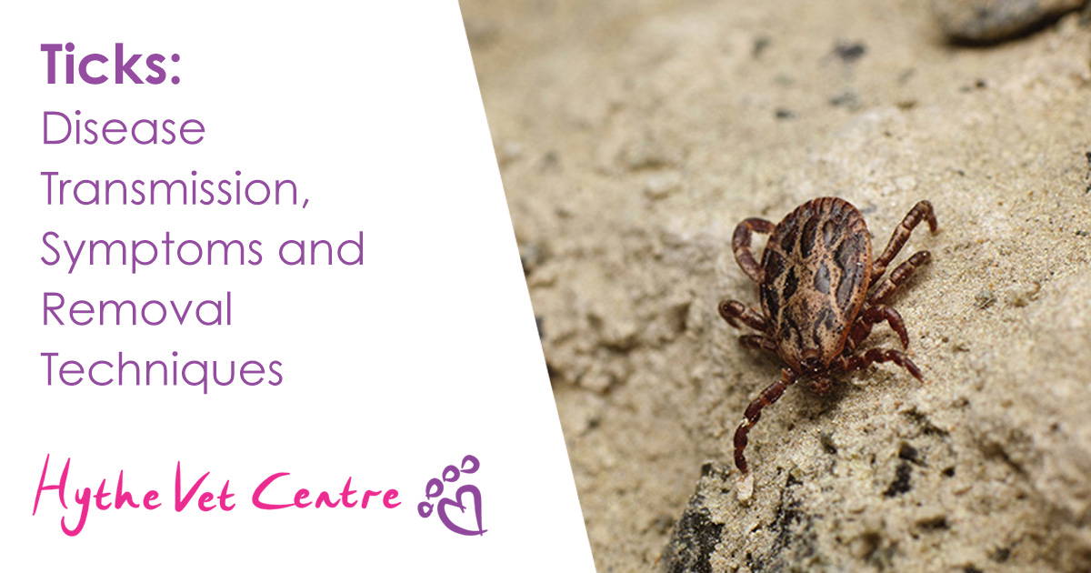 Is Tick Paralysis In Dogs Permanent