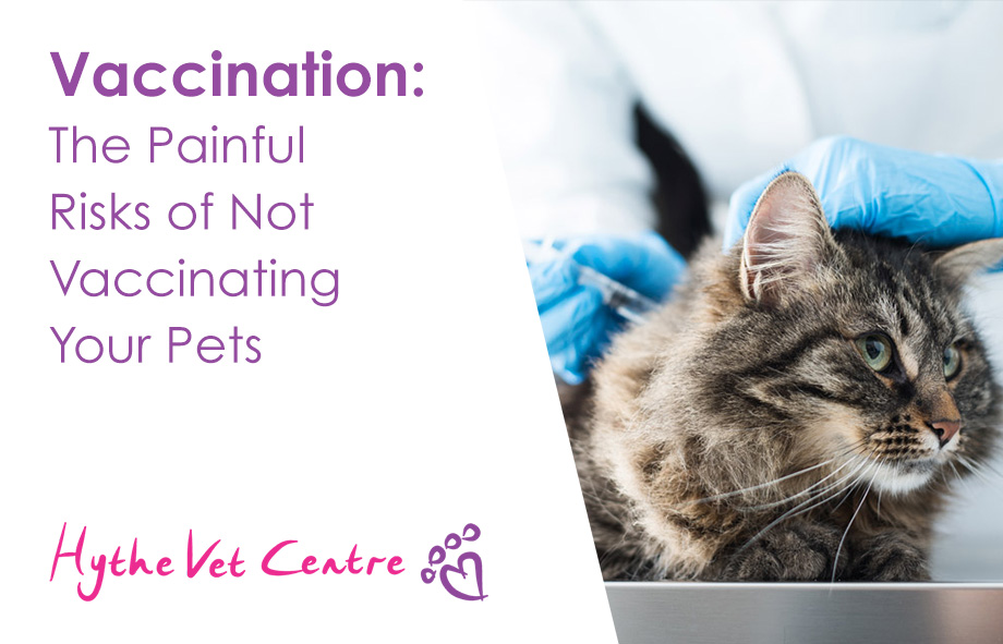 The Painful Risks of Not Vaccinating Your Pets