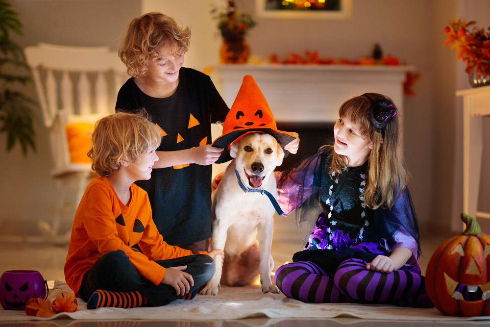 5-halloween-pet-safety-tips-noise-parties