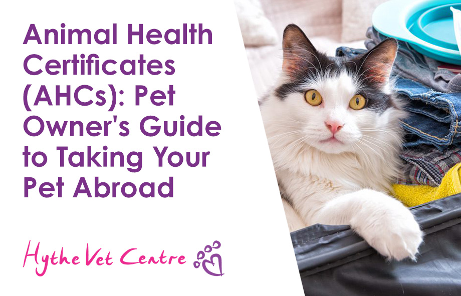 Animal Health Certificates (AHCs): Pet Owner’s Guide to Taking Your Pet Abroad