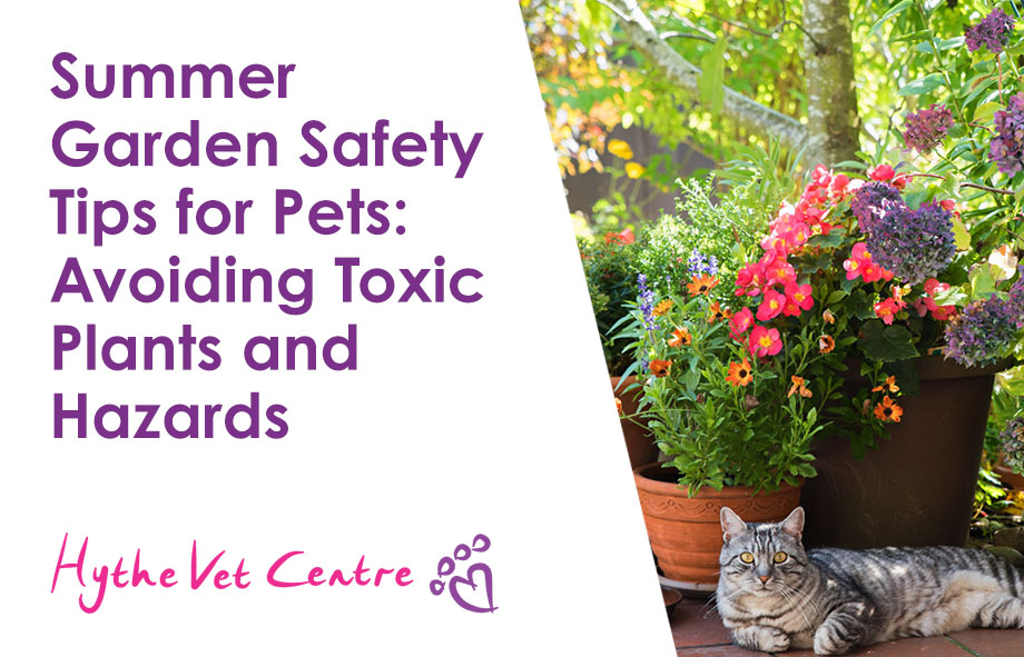 Summer Garden Safety Tips for Pets: Avoiding Toxic Plants and Hazards
