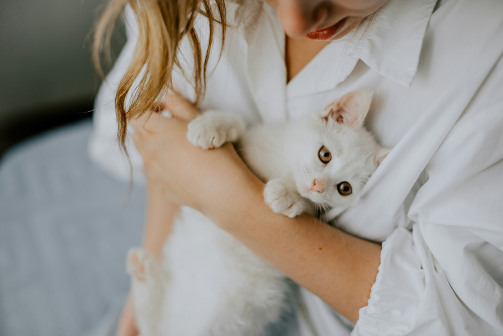 Is it worth getting a Pet Health Plan for dogs | Hythe Vets