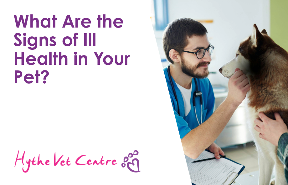 What Are the Signs of Ill Health in Your Pet?