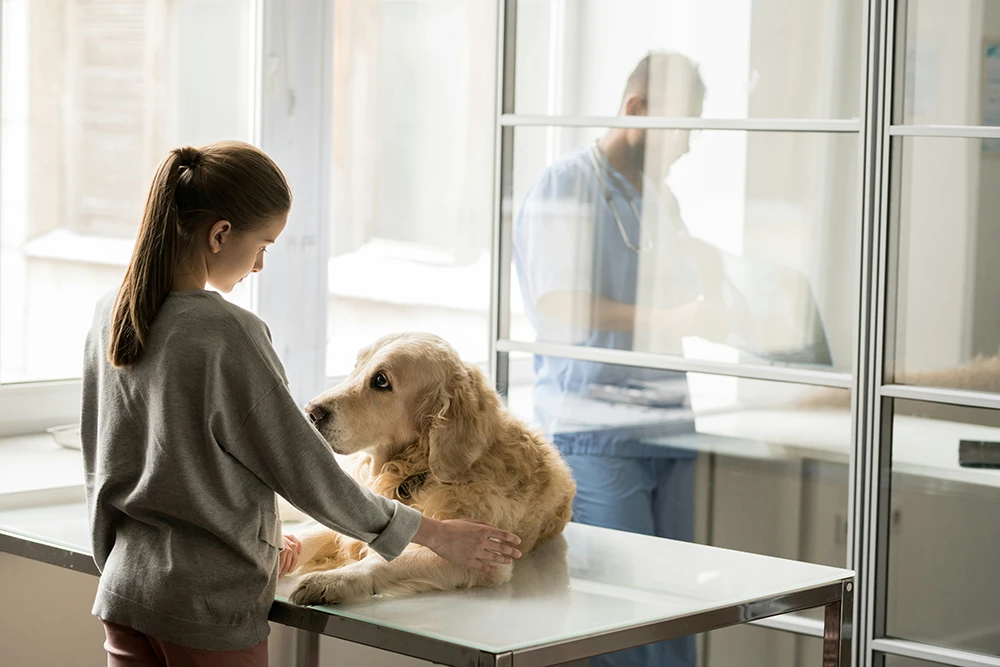 what-are-the-signs-of-ill-health-in-your-pet What are the signs of ill health in your pet | Hythe Veterinary Centre
