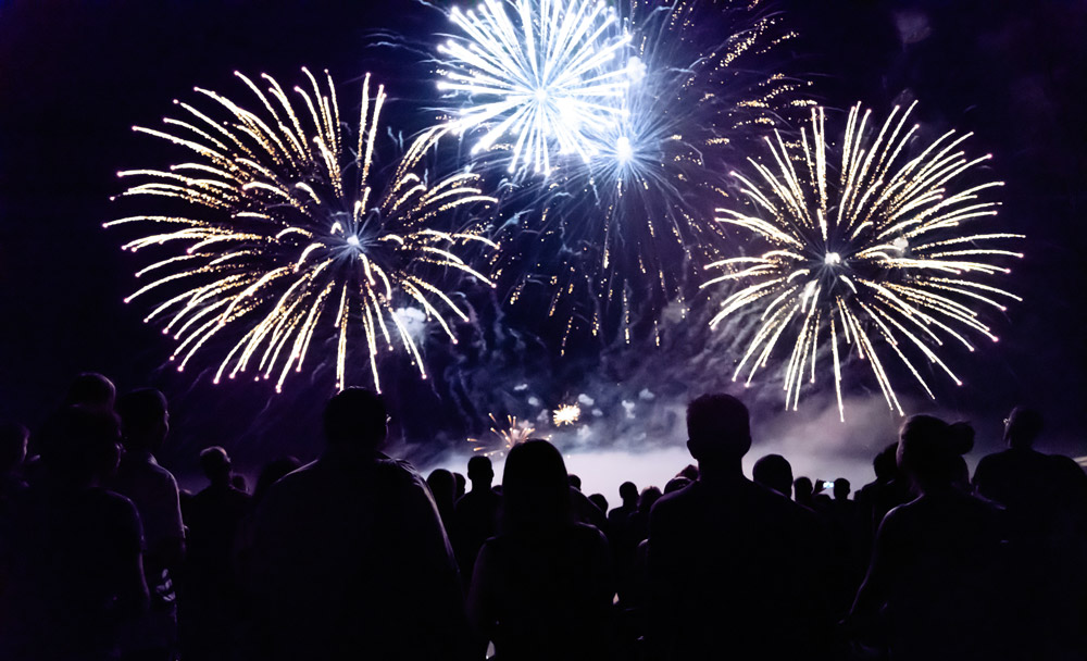How to keep your pet calm during fireworks on Bonfire Night | Hythe Vets