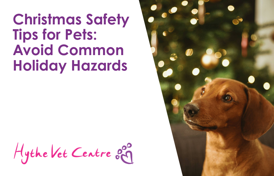 Christmas Safety Tips for Pets: Avoid Common Holiday Hazards
