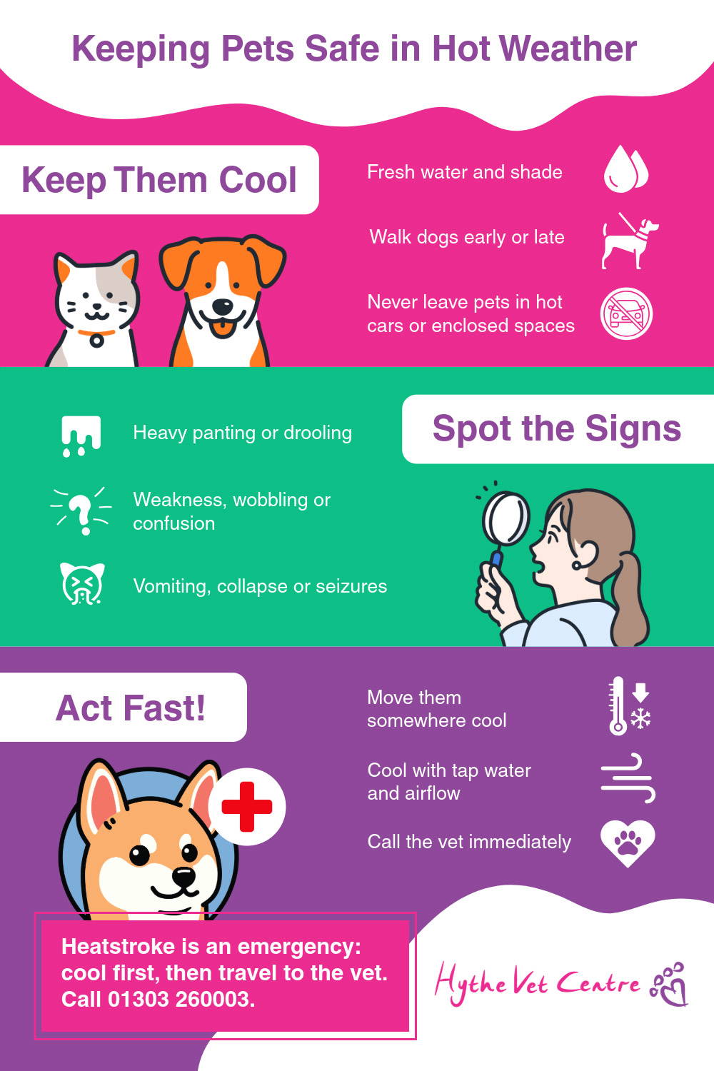 Keeping pets safe in hot weather | Hythe Vets